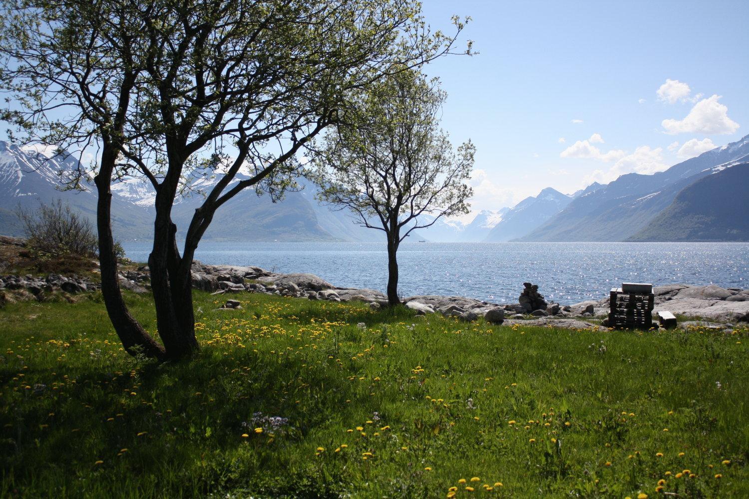 Sunde Fjord Hotel, Free And Easy Parking Solavagen Екстериор снимка